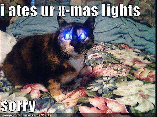 funny-pictures-cat-ate-your-christmas-lights