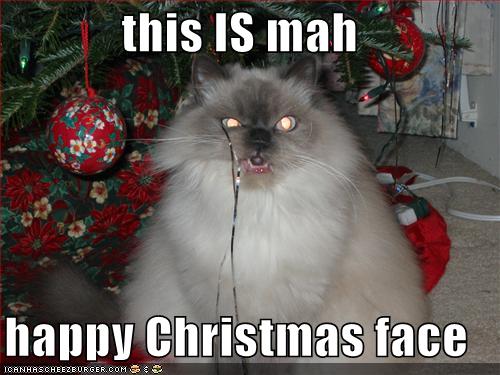 merry christmas grumpy cat meme