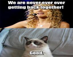 We Are Never Ever Ever Getting Back Together