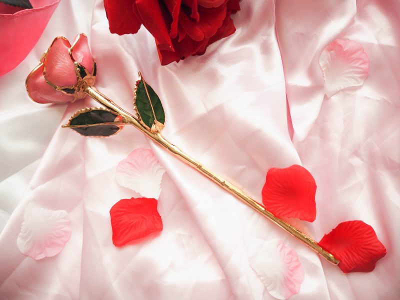 Valentine's Day Roses, Eternity Rose