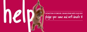 Trilogy’s Save the Orangutans Campaign